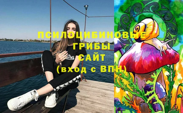 прущий лед Аркадак