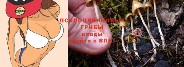 а пвп мука Армянск