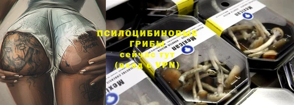 прущий лед Аркадак